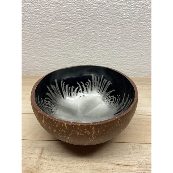 Handmade Other - Coconut Shell Bowl Silver Splash Handmade And Painted